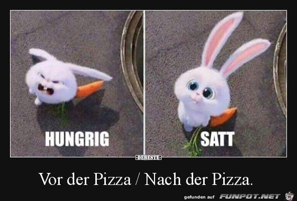 Genau so sieht das aus mit dem Hunger