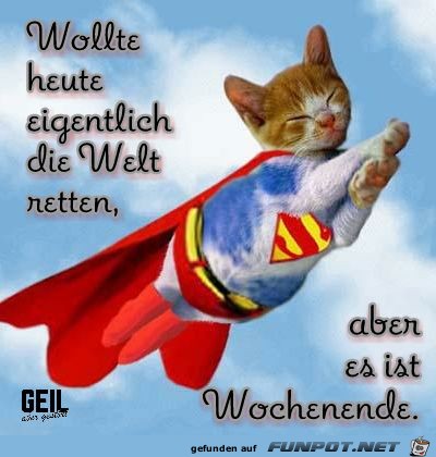 Wollte heute eigentlich die Welt retten Wollte heute eigentlich die Welt retten