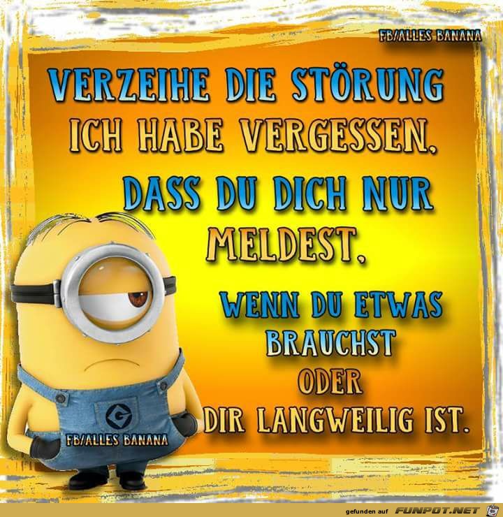 Verzeihe die Stoerung Verzeihe die Stoerung
