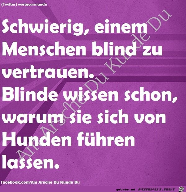 Blind vertrauen Blind vertrauen
