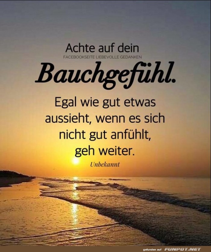 Bauchgefuehl