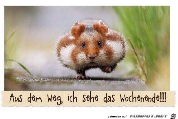 Aus dem Weg... Aus dem Weg...