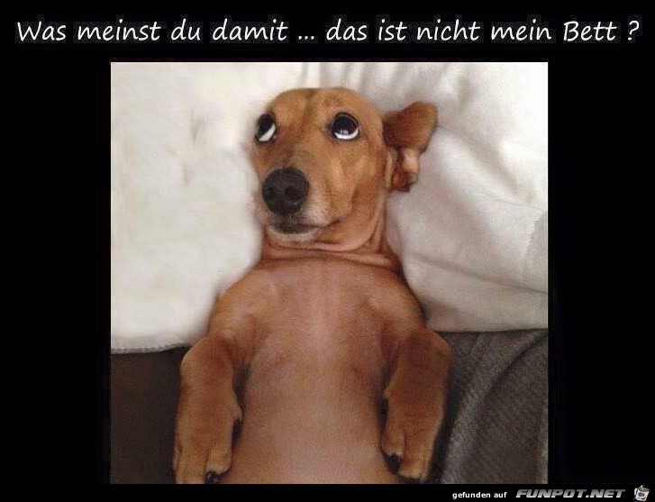 Was meinst du damit Was meinst du damit