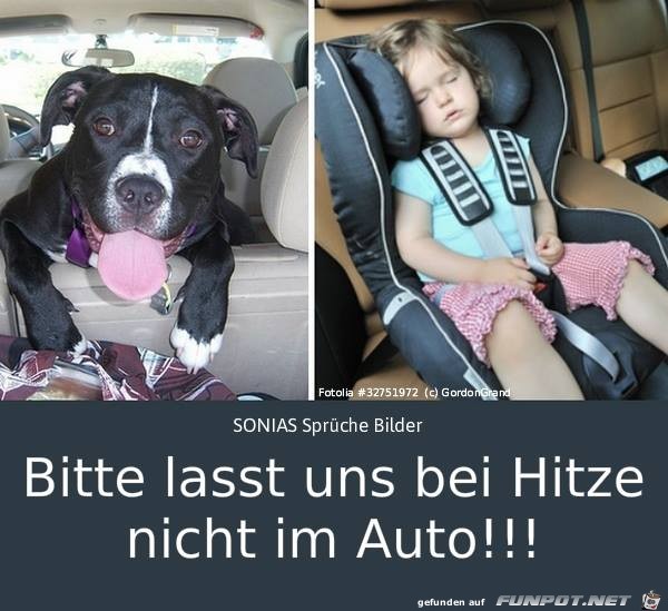 Bitte lasst uns nicht Bitte lasst uns nicht