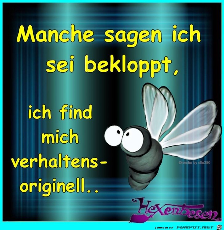 Manche sagen Manche sagen