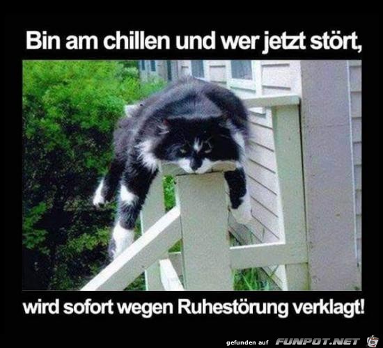 Bin am Chillen Bin am Chillen