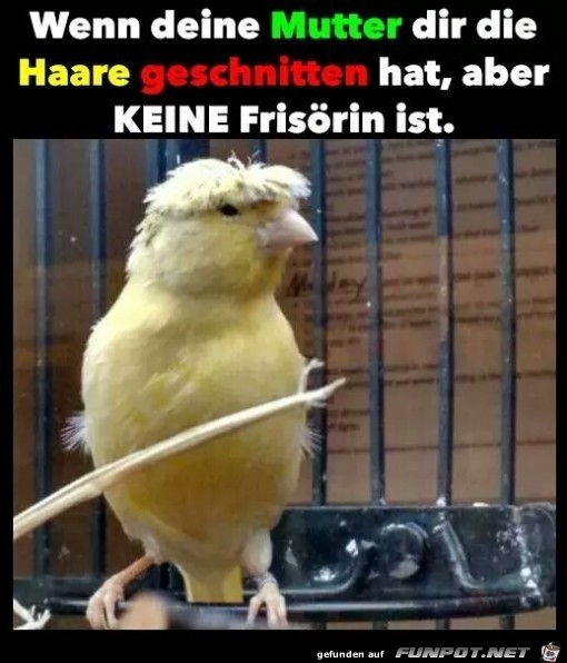 Kein Frisör Kein Frisör