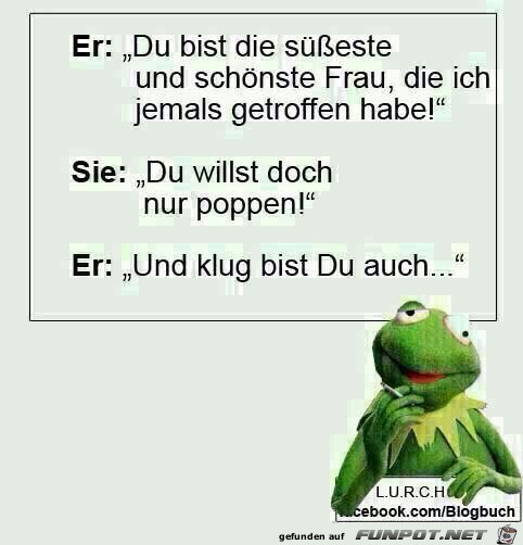 Schön und klug Schön und klug