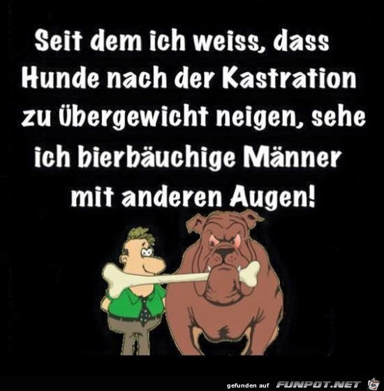 bierbauch bierbauch