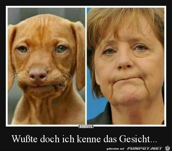 ich kenne das Gesicht.......