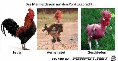 Männerdasein Männerdasein
