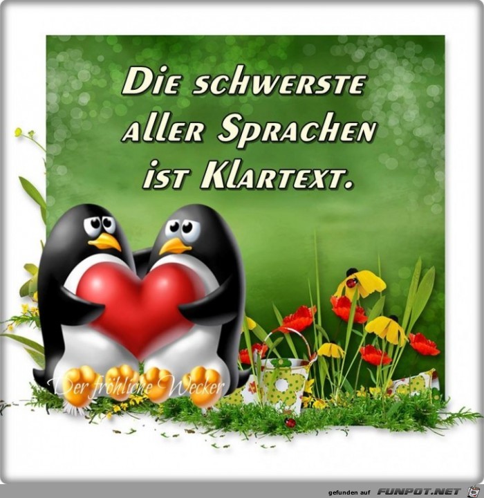 Klartext Klartext