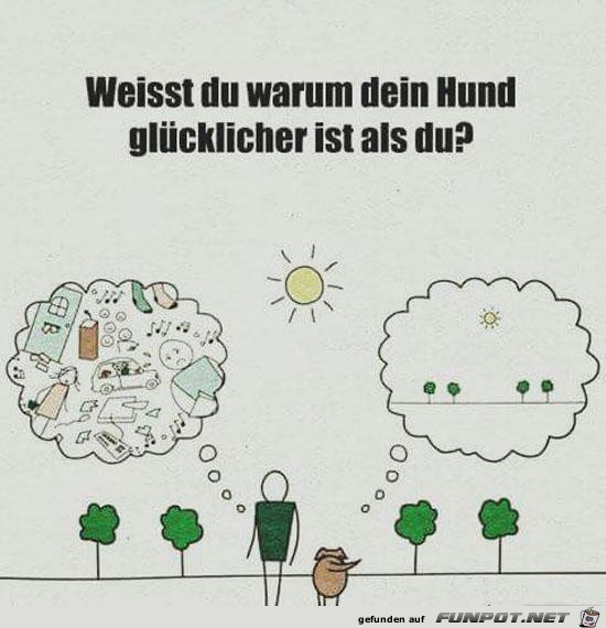 So siehts aus So siehts aus