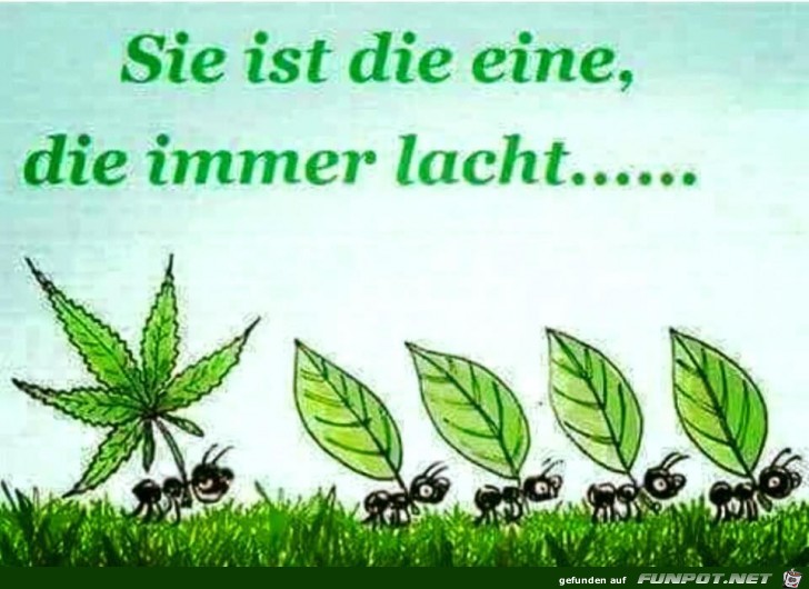 Immer frhlich