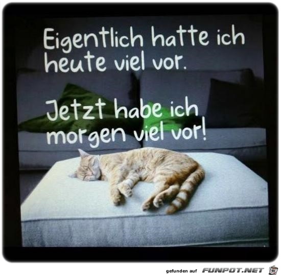 Eigentlich hatte...