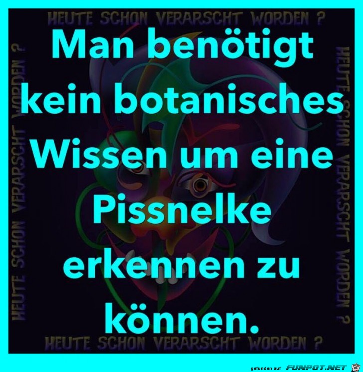 Kein botanisches Wissen nötig Kein botanisches Wissen nötig