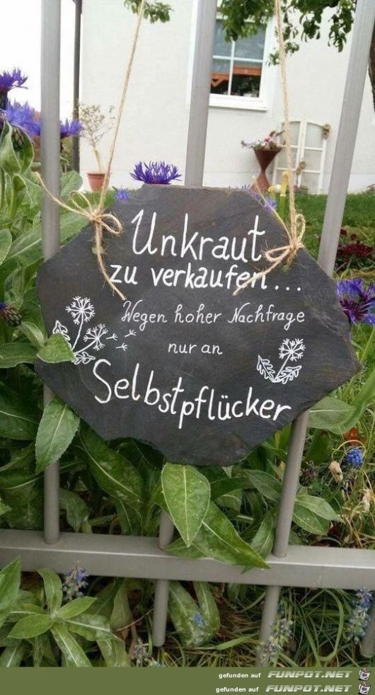 Unkraut Unkraut