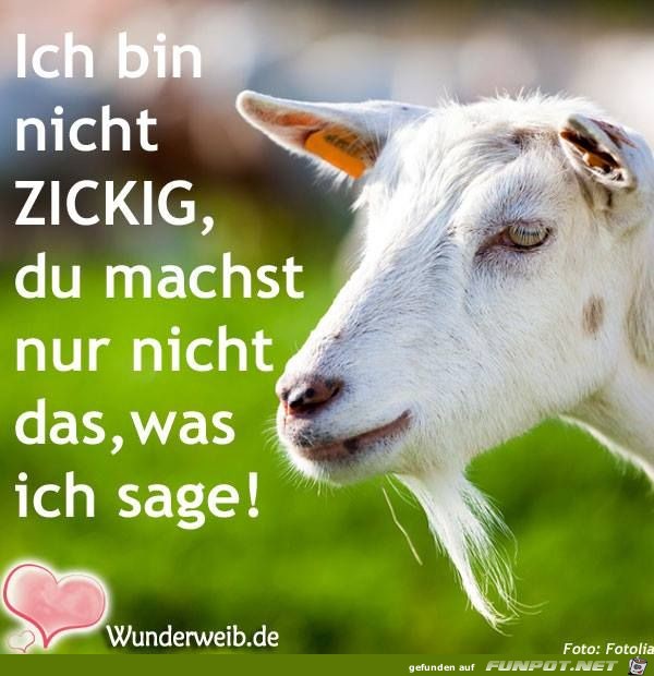 Bin nicht zickig Bin nicht zickig