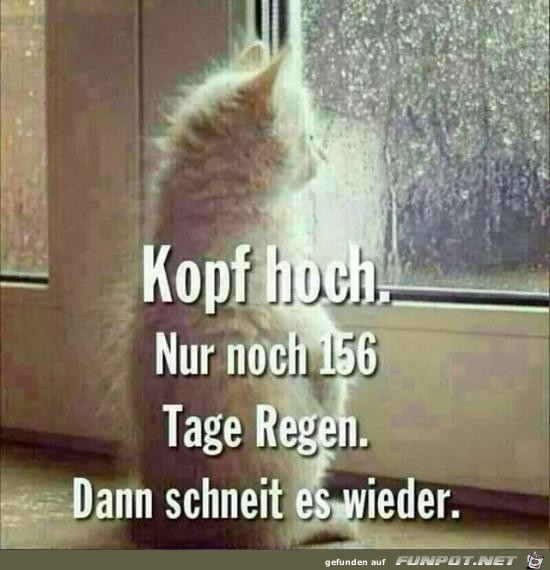 Tolle Aussichten Tolle Aussichten