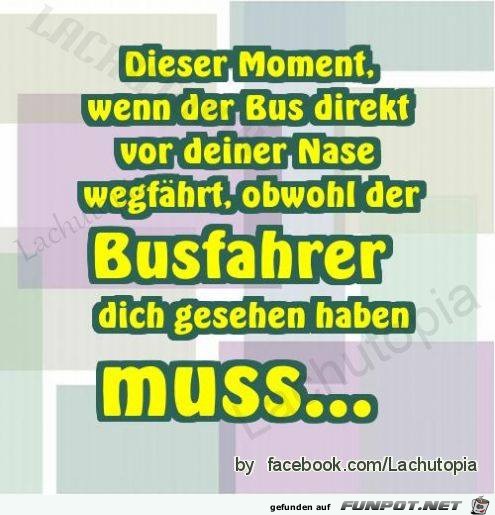 Busfahrer Busfahrer