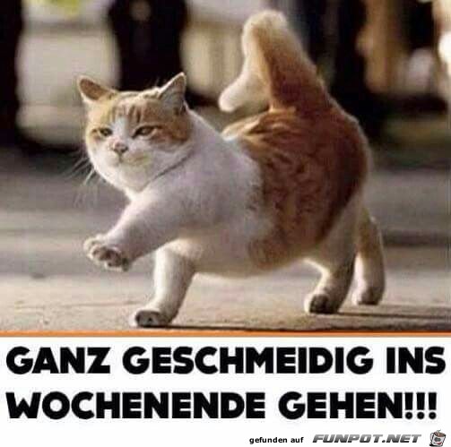 Ganz geschmeidig Ganz geschmeidig