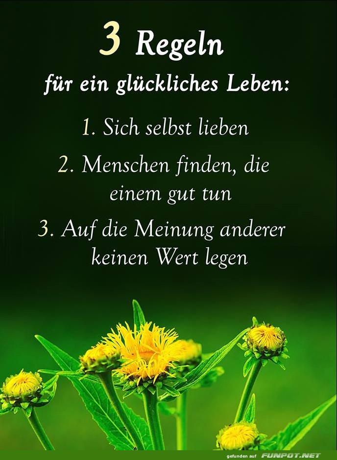 10 schne Sprche und Lebensweisheiten aus...