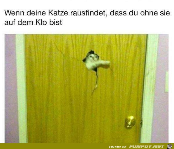 Erwischt Erwischt