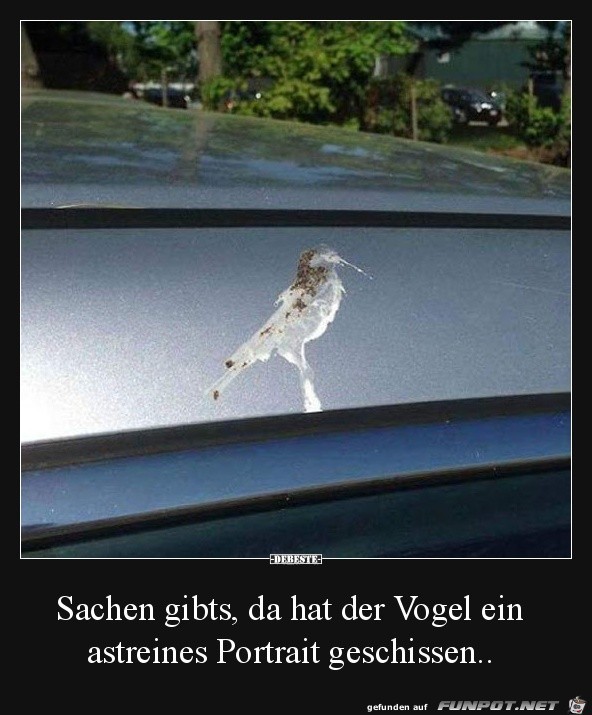 Sachen gibt's Sachen gibt's