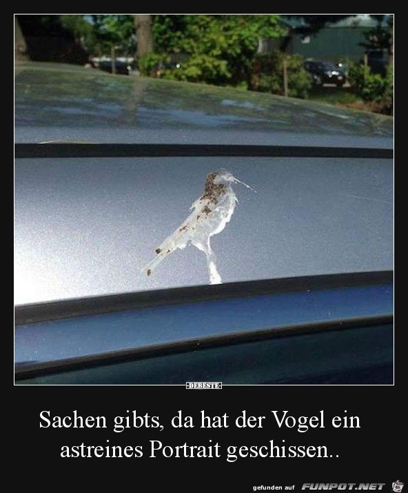 Sachen gibt's