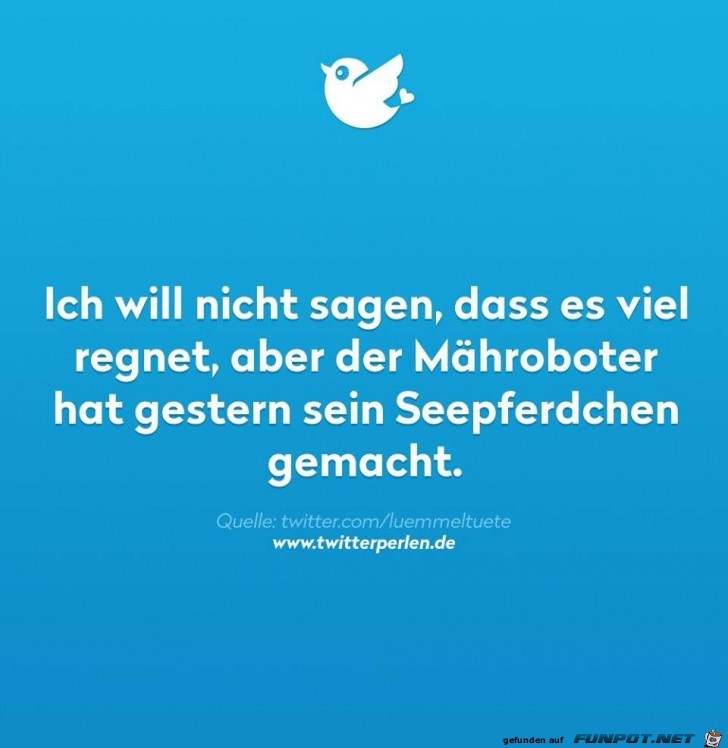 Es ist viel am regnen Es ist viel am regnen