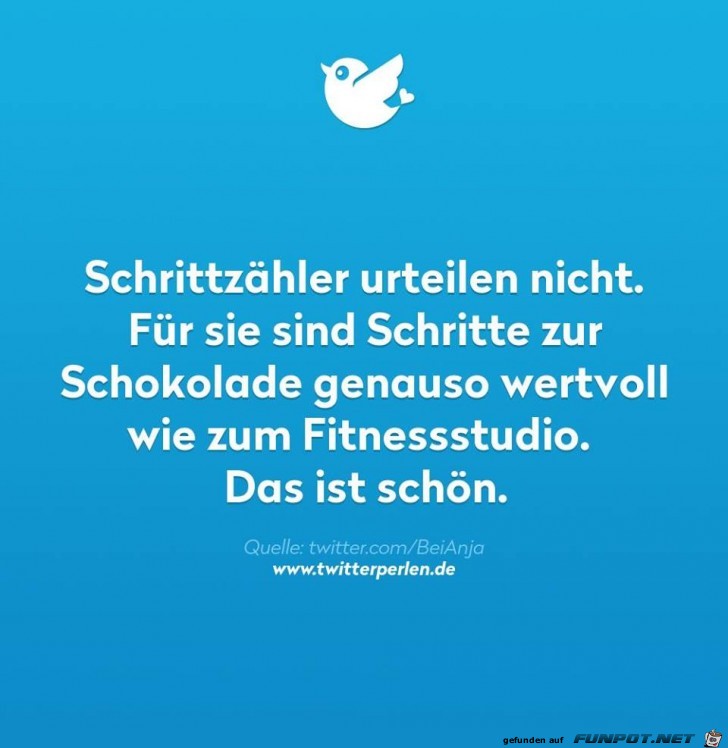 Schrittzähler Schrittzähler