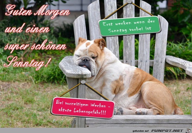 Sonntag Sonntag