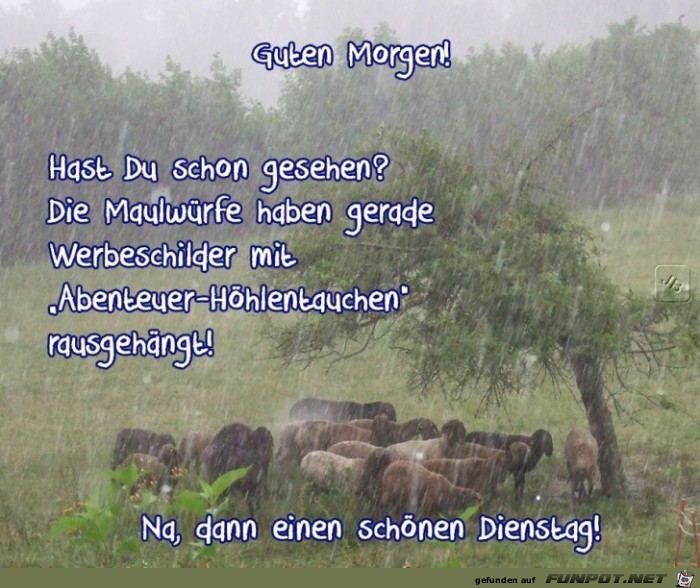 Dienstag Dienstag