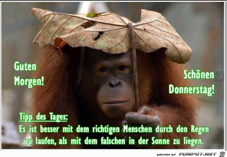 Donnerstag Donnerstag