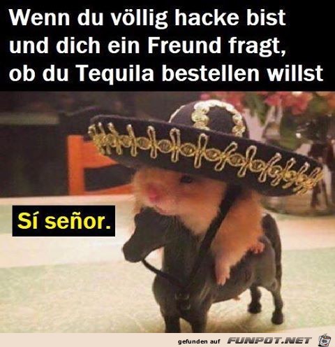 Ziemlich hacke Ziemlich hacke