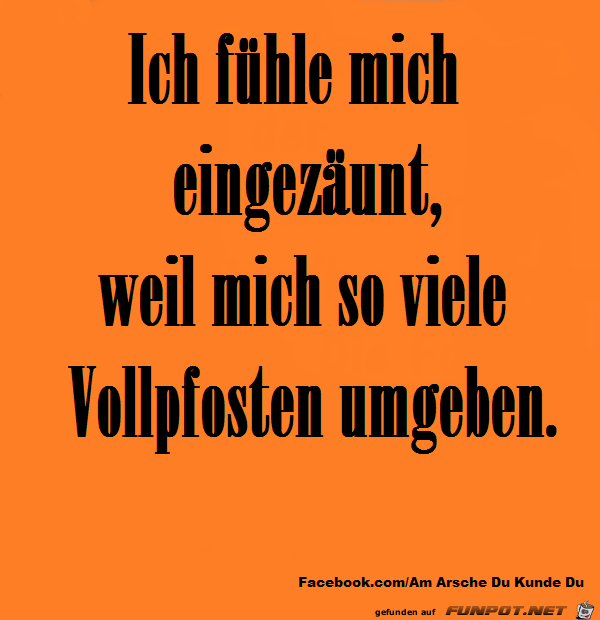 Eingezäunt Eingezäunt