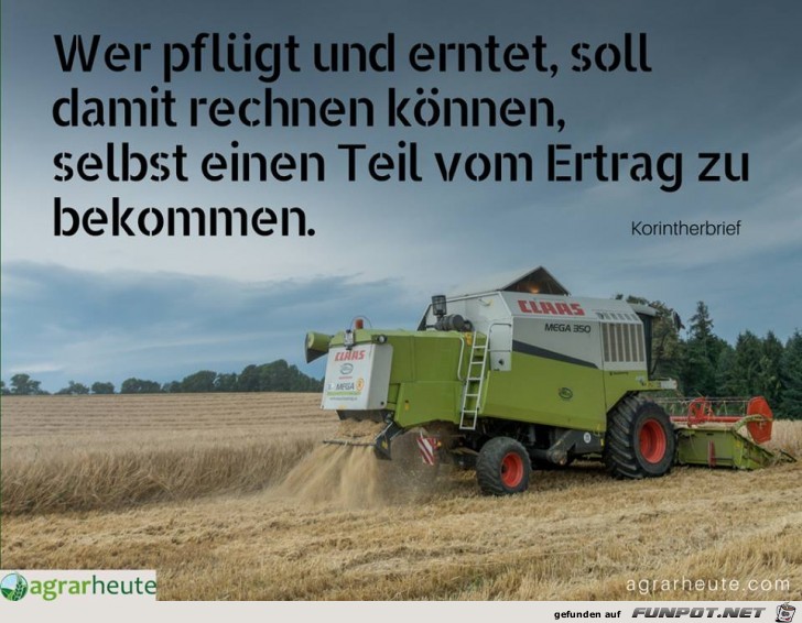 Gerecht Gerecht