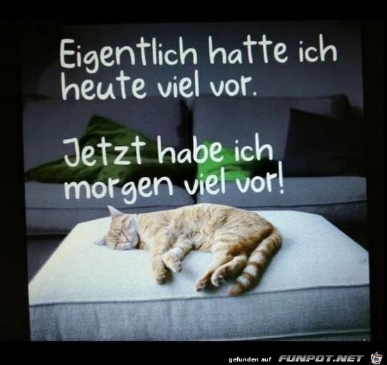 eigentlich hatte ich heute viel vor... eigentlich hatte ich heute viel vor...