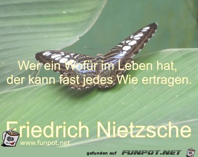 Wer ein Wofür im Leben hat, der kann fast jedes Wie Wer ein Wofür im Leben hat, der kann fast jedes Wie