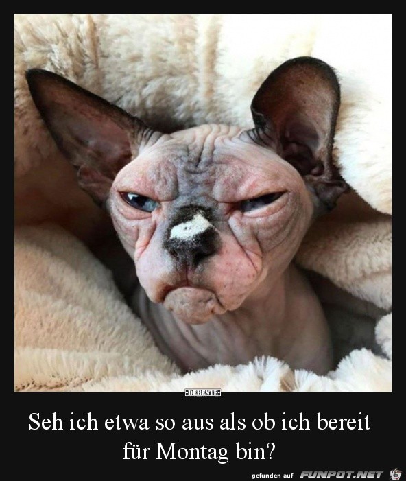 Eher nicht Eher nicht