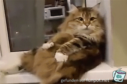 Ich fühl mich gut Ich fühl mich gut