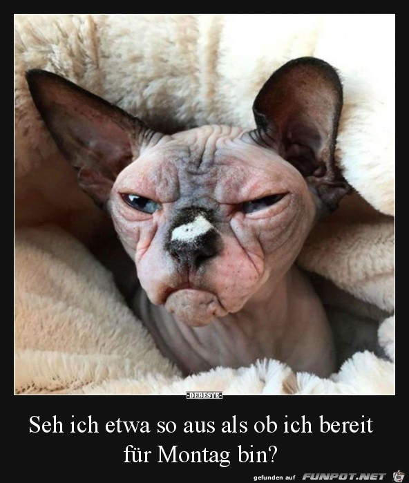 seh ich etwa so aus........ seh ich etwa so aus........