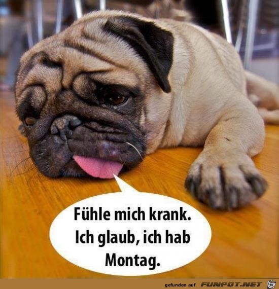 Montag Montag