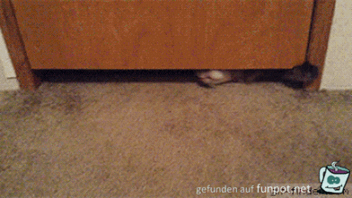 Ich komme durch Ich komme durch
