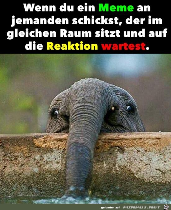 Ich warte