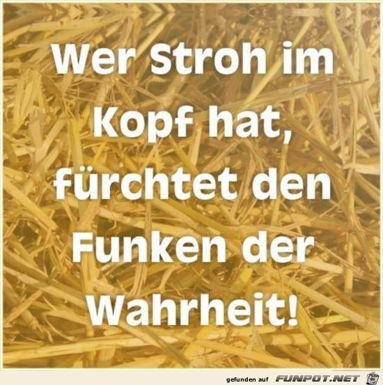 Stroh im Kopf Stroh im Kopf