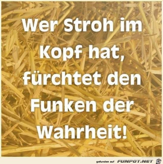 Stroh im Kopf