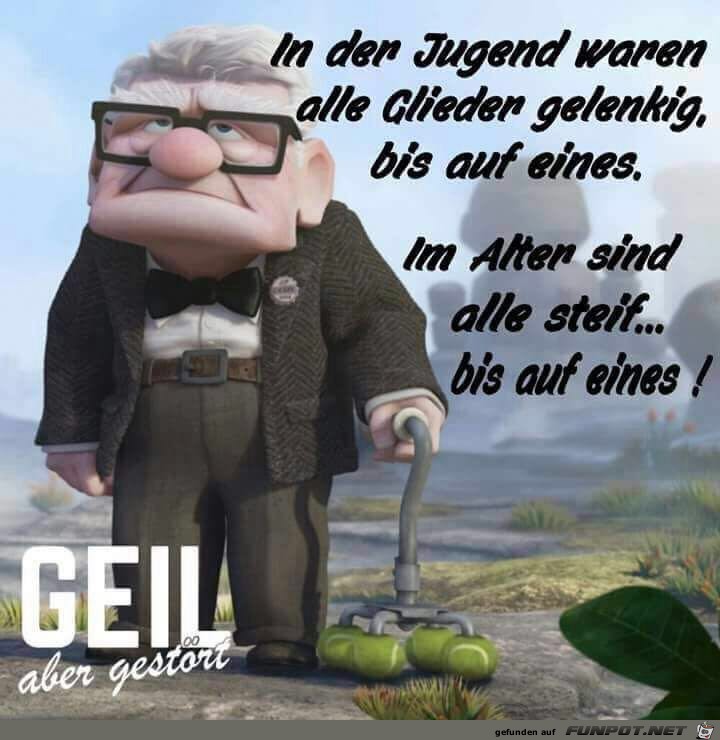 das Alter das Alter