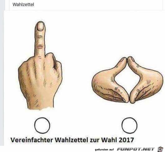 Besonderer Stimmzettel Besonderer Stimmzettel