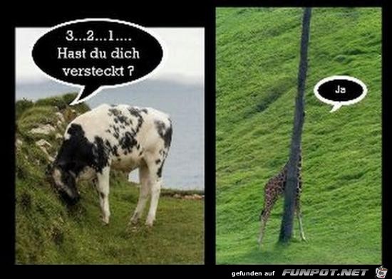 Super Versteck Super Versteck